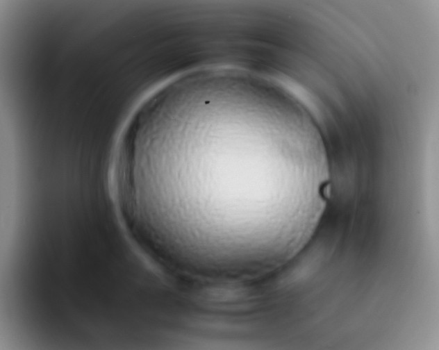 X0000092100959200709262139