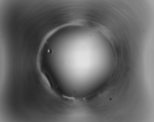 X0000092100960200709262139