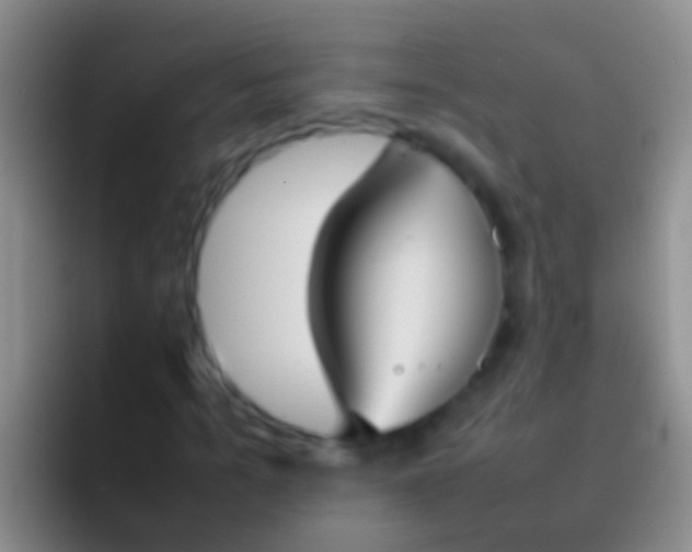 X0000092100965200709262138