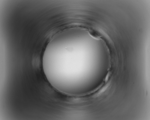 X0000092100969200709262138