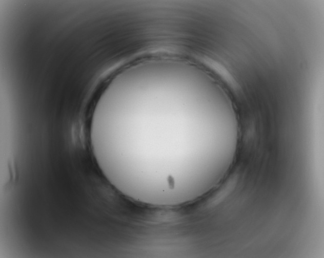 X0000092100974200709262138