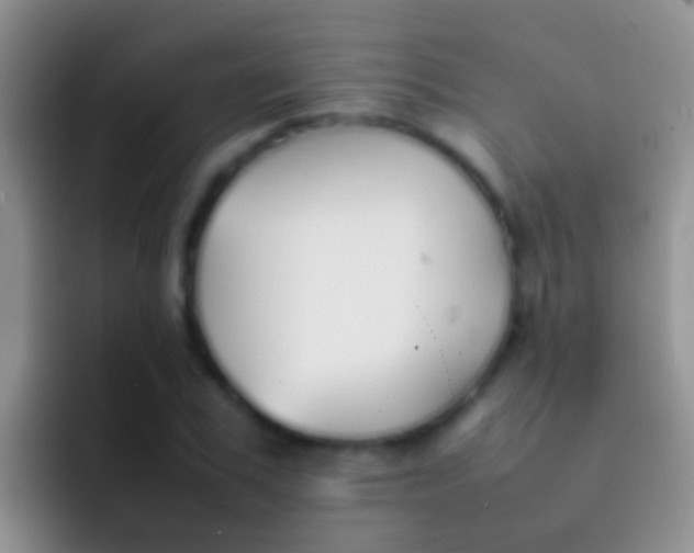 X0000092100979200709262138