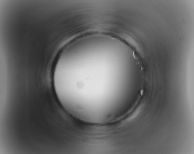 X0000092100981200709262138