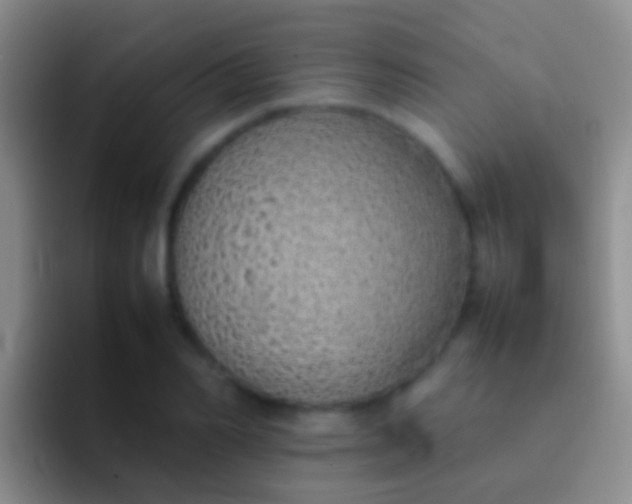 X0000092100982200709262138