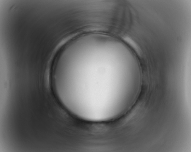 X0000092100983200709262138