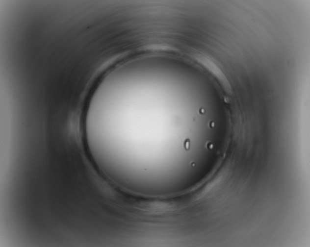 X0000092100984200709262138