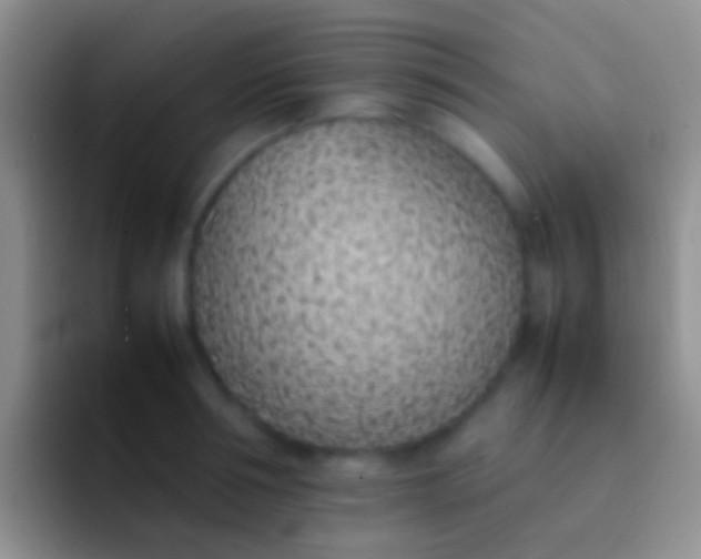 X0000092100994200709262138