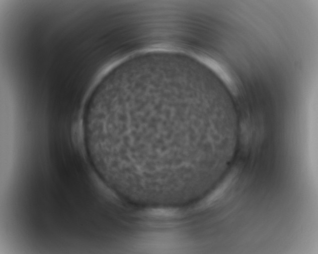 X0000092100998200709262138