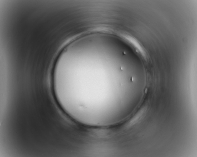 X0000092100999200709262138