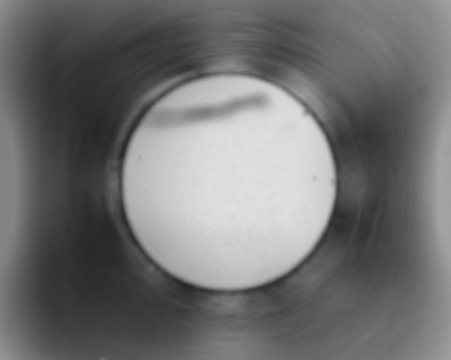 X0000092101000200709262138