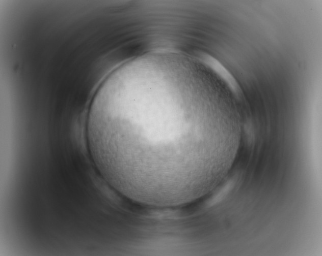 X0000092101002200709262138