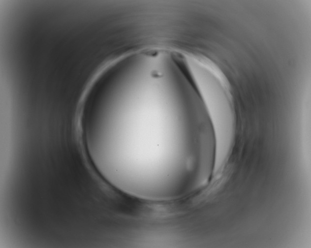 X0000092101005200709262138