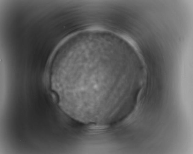 X0000092101008200709262138