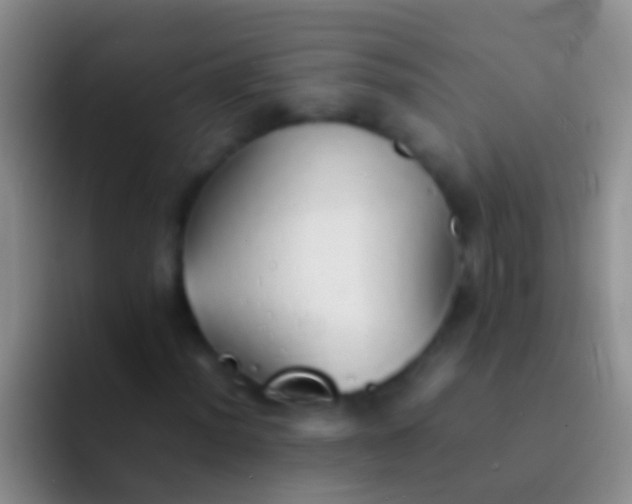 X0000092101012200709262137