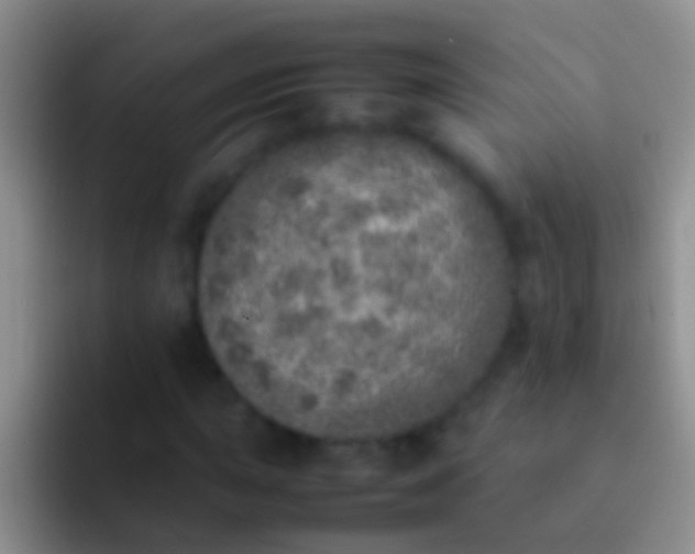 X0000092101015200709262137