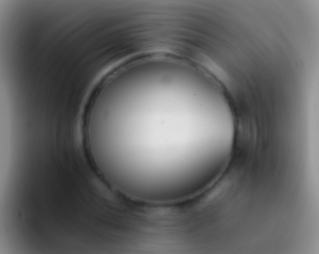 X0000092101020200709262137