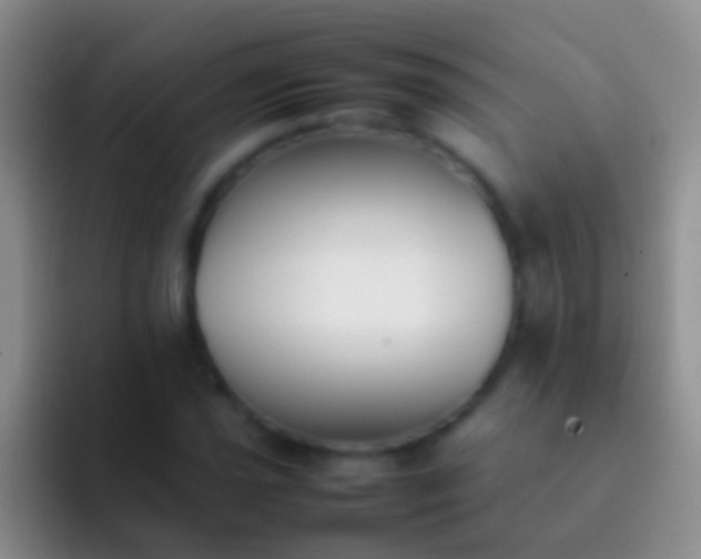 X0000092101021200709262137