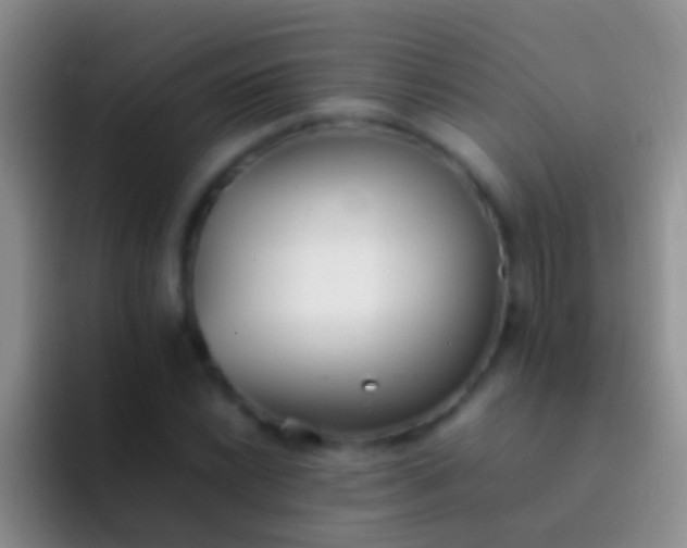 X0000092101022200709262137