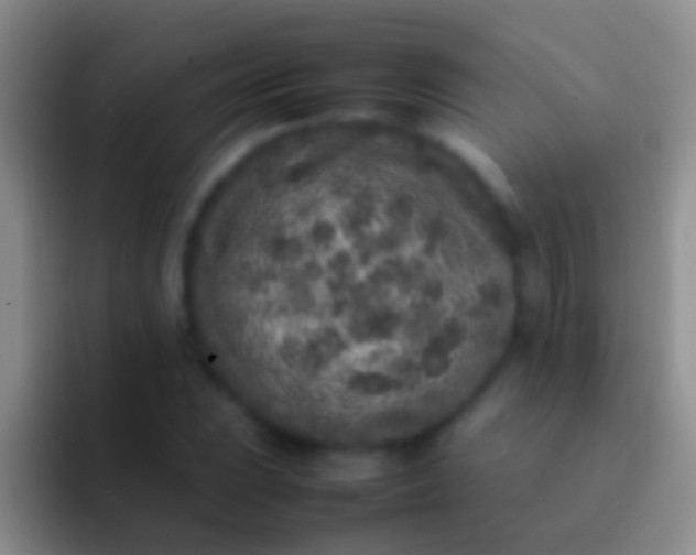 X0000092101023200709262137