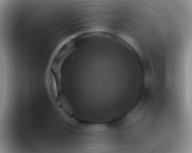 X0000092101024200709262137