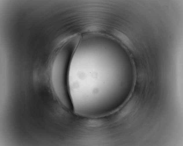 X0000092101026200709262137