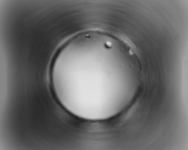 X0000092101028200709262137