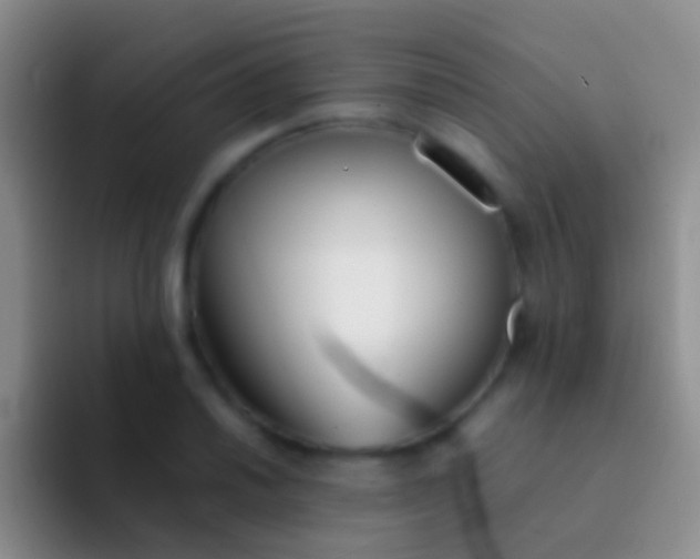 X0000092101030200709262137