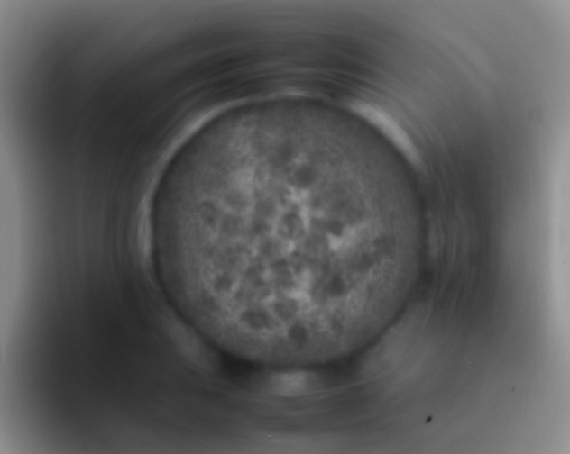 X0000092101031200709262137