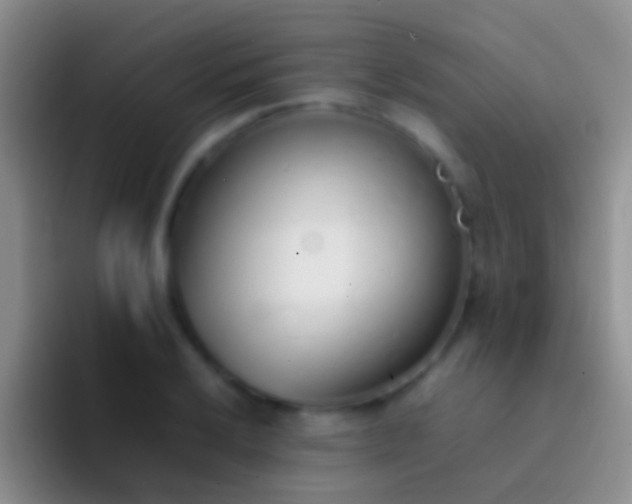 X0000092101032200709262137