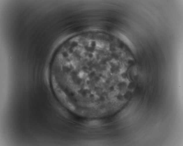 X0000092101035200709262137