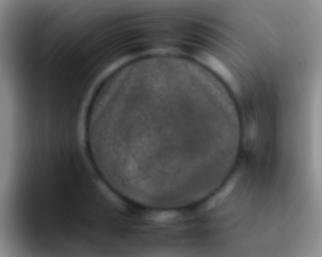 X0000092101037200709262137