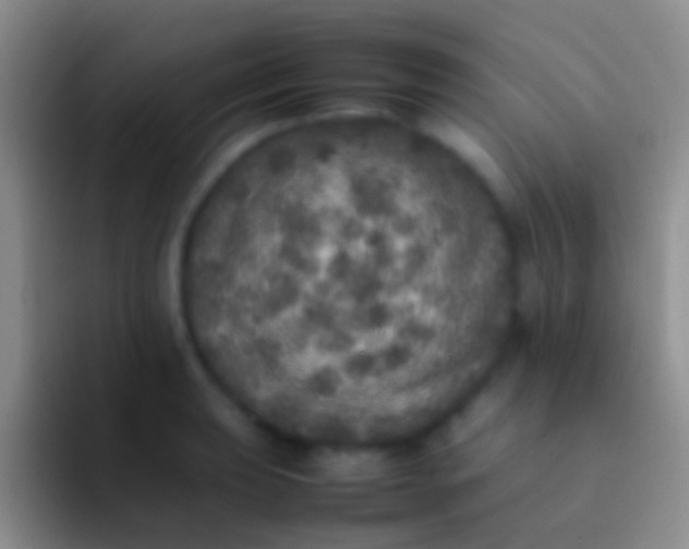 X0000092101039200709262137