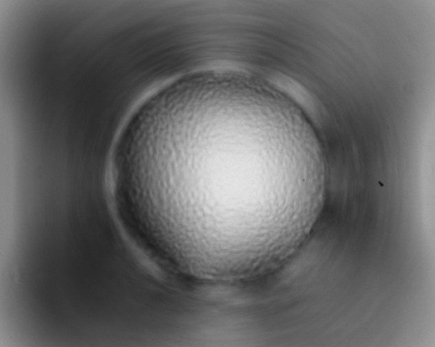 X0000092101040200709262137