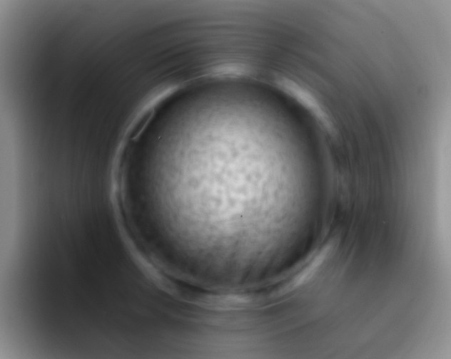 X0000092101042200709262137