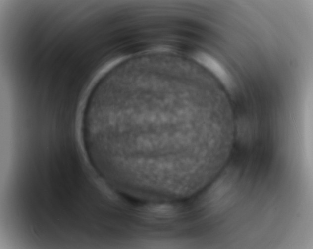 X0000092101043200709262137