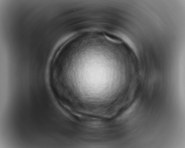 X0000092101045200709262137