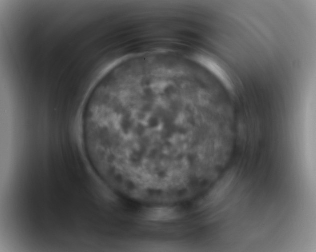 X0000092101047200709262138