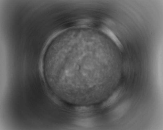 X0000092101051200709262138