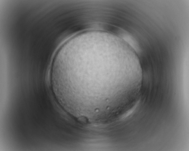 X0000092101052200709262138