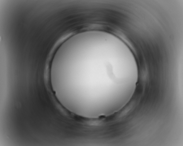 X0000092101053200709262138