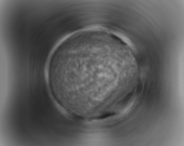 X0000092101054200709262138