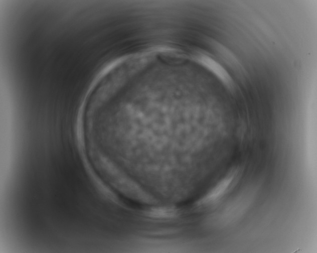 X0000092101055200709262138