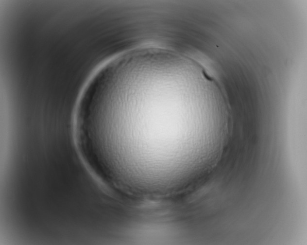 X0000092101056200709262138