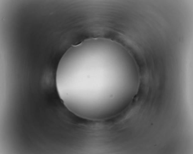 X0000092101058200709262137