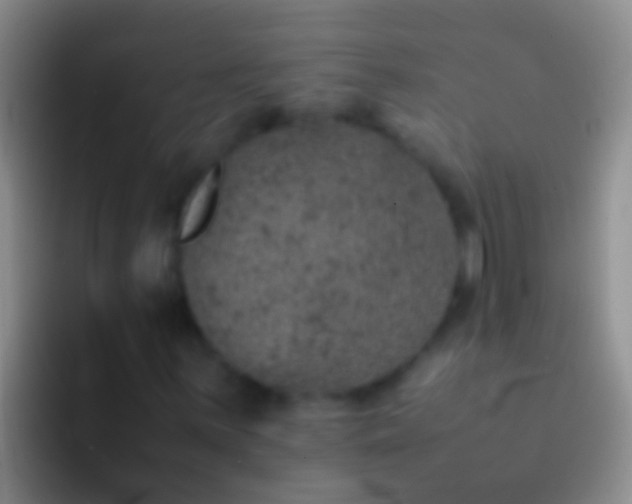 X0000092101059200709262137