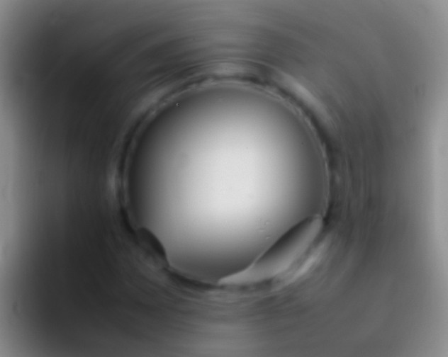 X0000092101065200709262137