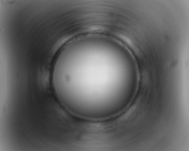 X0000092101066200709262137