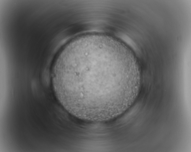 X0000092101067200709262137