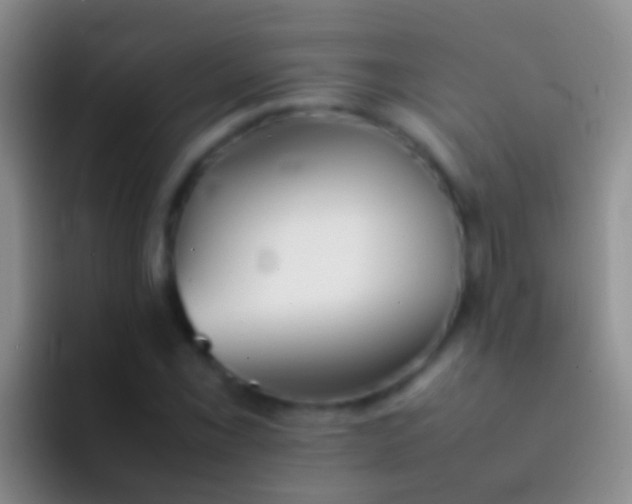 X0000092101069200709262137