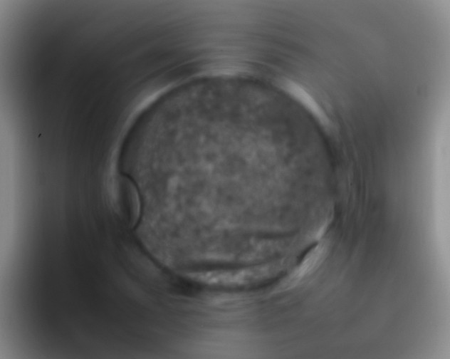 X0000092101071200709262137